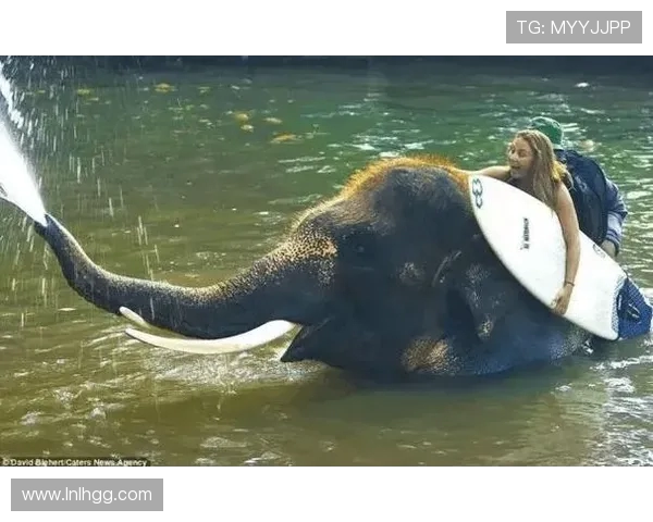 极限运动的魅力与挑战李敏分享她的冒险人生与成长故事