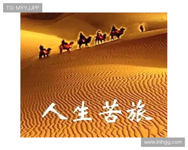 飞盘追梦：王军如何在激情与挑战中塑造人生旅程