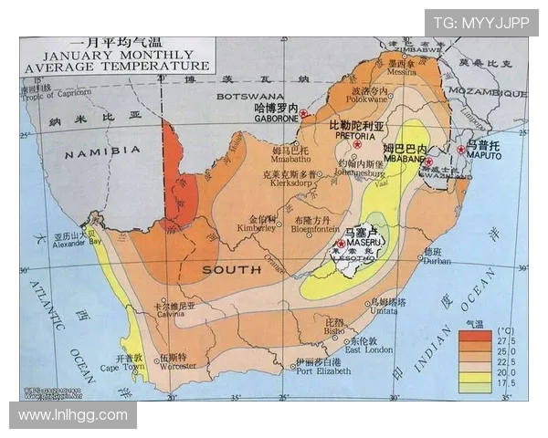 南非与塞内加尔首发阵容分析及比赛前瞻详解